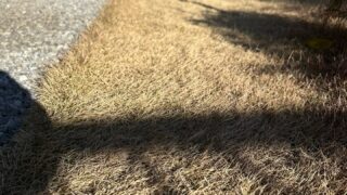 Thumbnail of post image 079