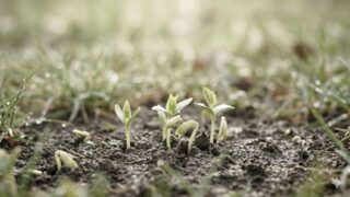 Thumbnail of post image 128